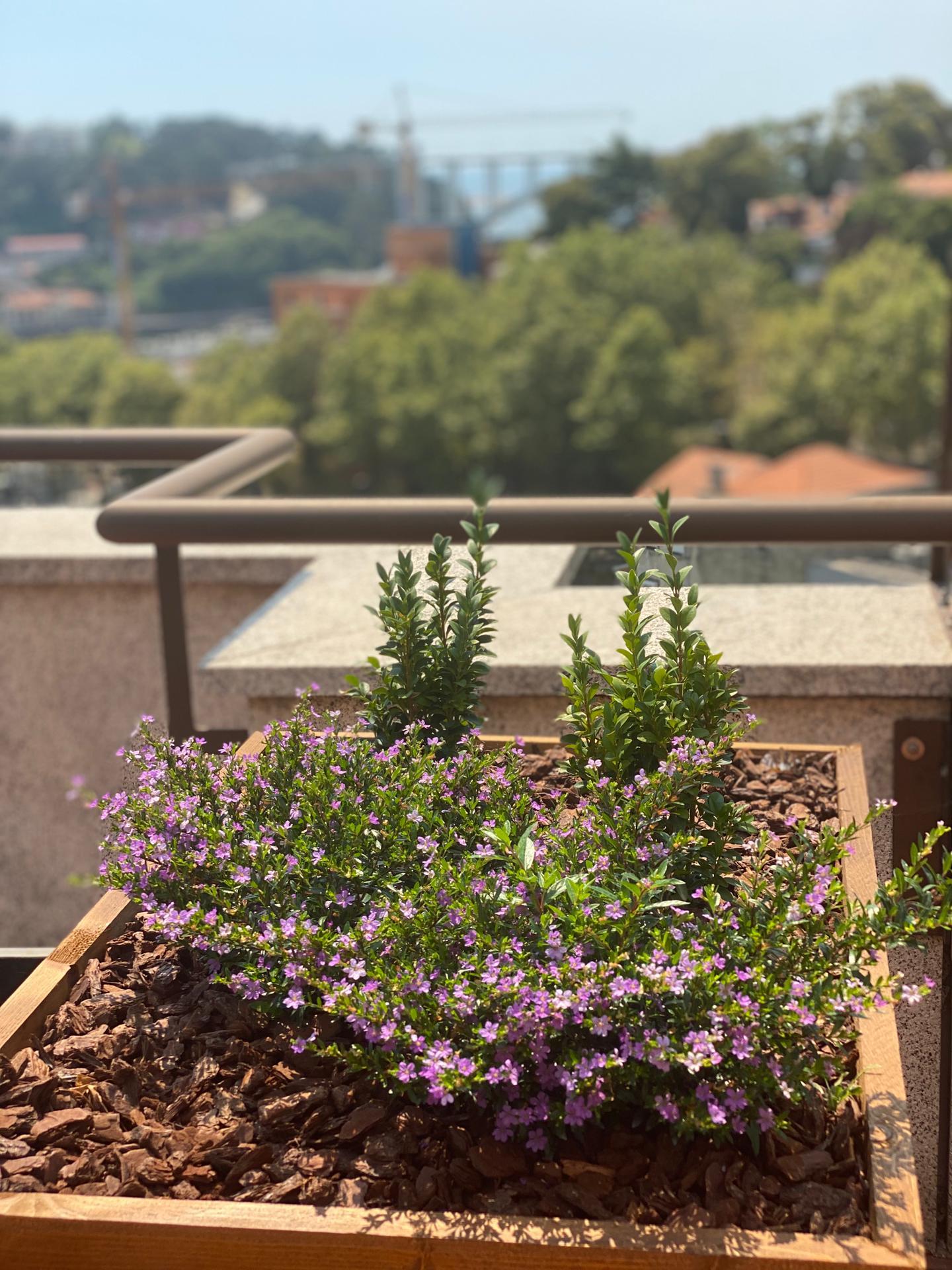 Varios Vilar Oporto Hotel