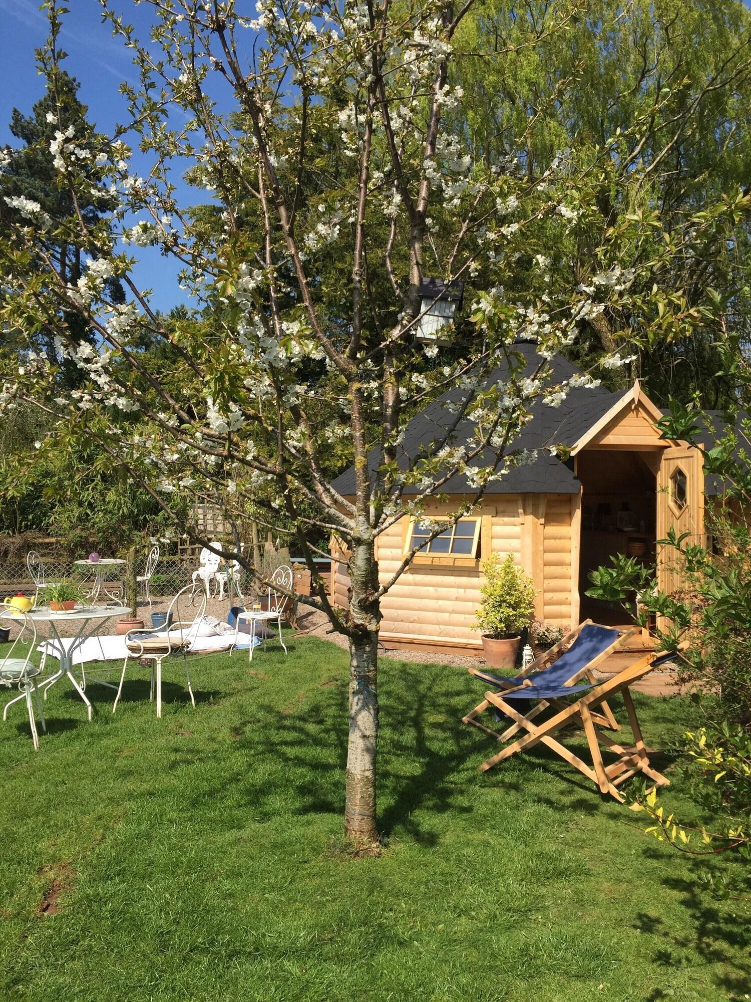 Comodidades del Alojamiento Pandy B&B