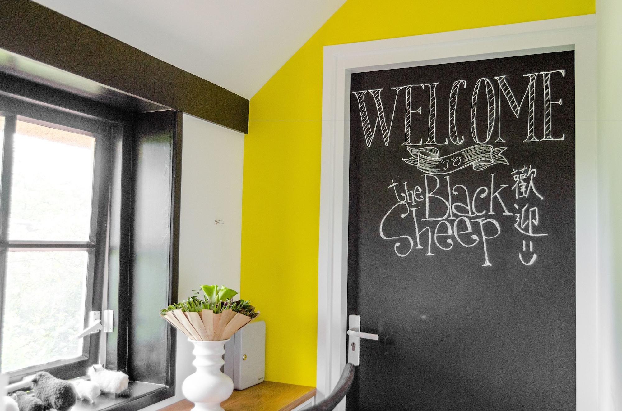Vista Lobby The Black Sheep Hostel