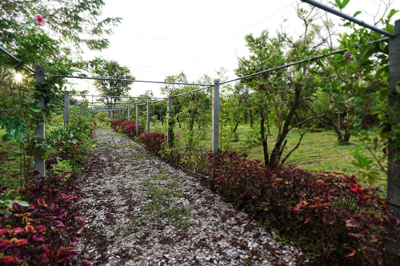 Comodidades del Alojamiento Hug Jang Loei Garden