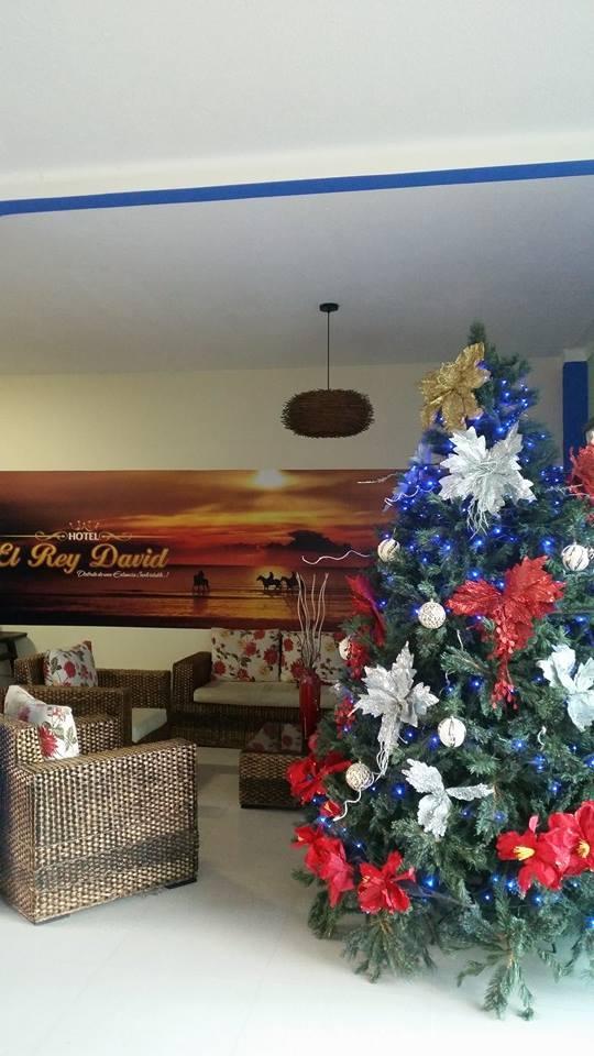 Comodidades del Alojamiento Hotel Rey David Ap