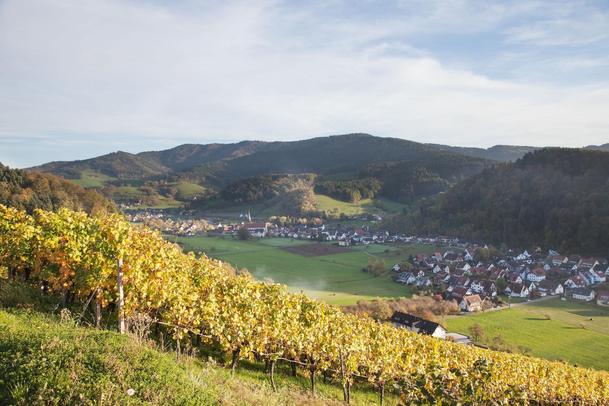 Varios Hotel Gasthaus Adler