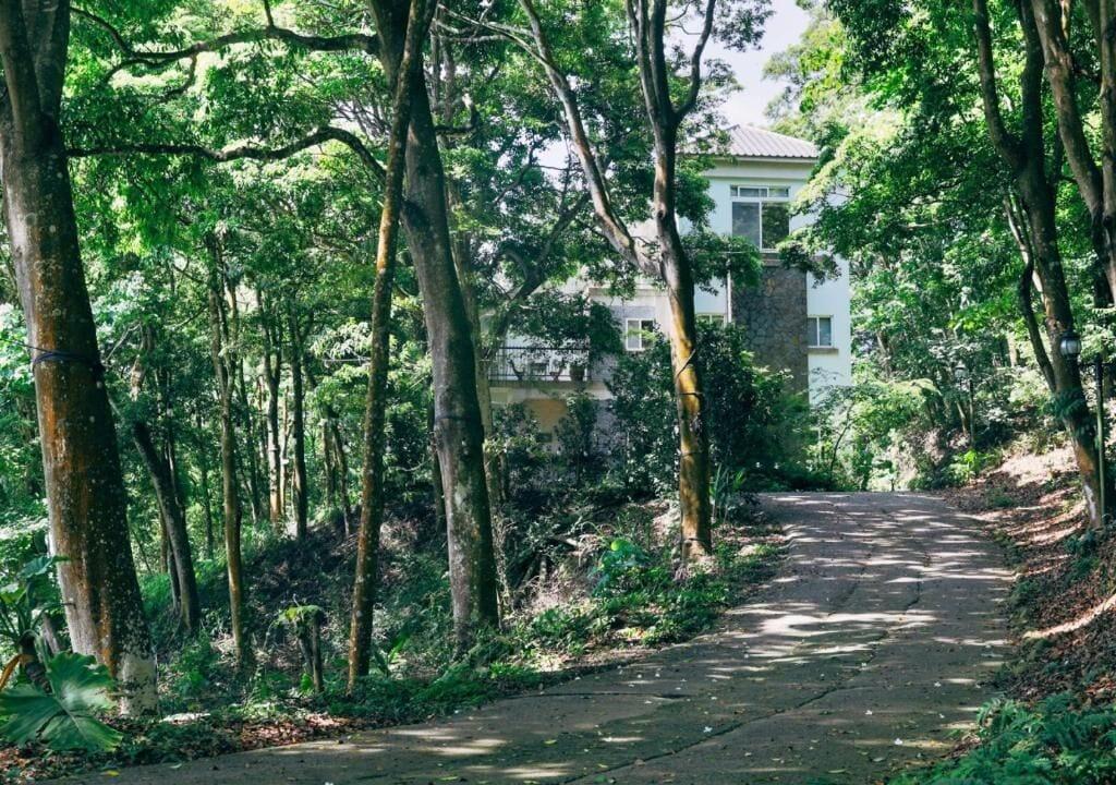 Varios Lvbolang by REINDEER, Sanyi