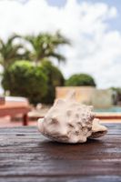 Pacote - Goood Resort