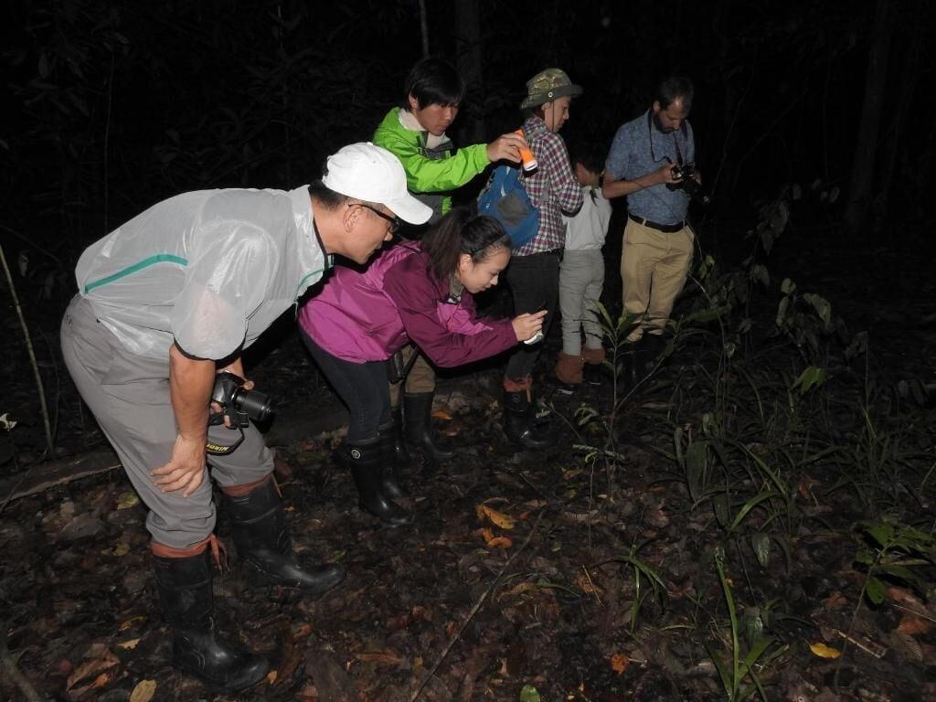 Varios Bilit Adventure Lodge