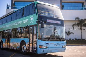 Actividad - Hop on hop off en Montevideo - 4 circuitos