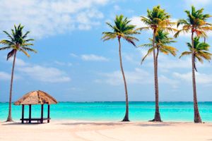 Paquete - Paquetes a Punta Cana