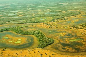 Actividad - Passeio ao Pantanal
