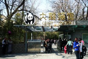 Actividad - Summer Palace and Beijing Zoo (Panda) - Half-Day Private Tour