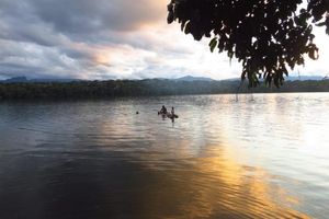 Actividad - Selva amazónica y pampas: 4 días