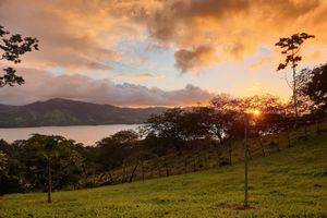 Alojamiento - Ceiba Tree Lodge