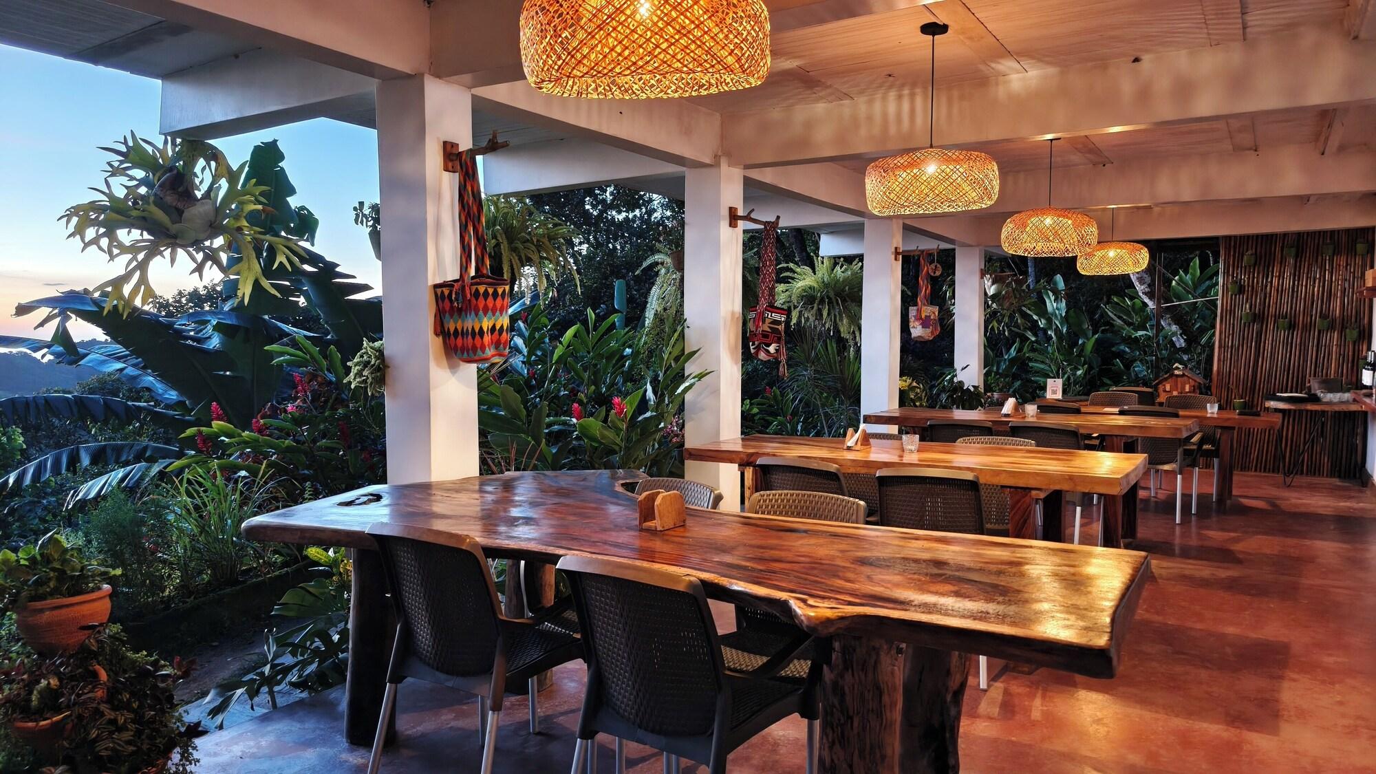 Vista Lobby Minca Sintropia Organic Coffee Finca