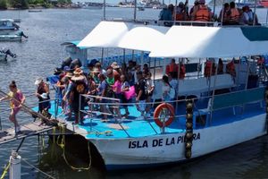 Actividad - Paseo Isla de la Piedra
