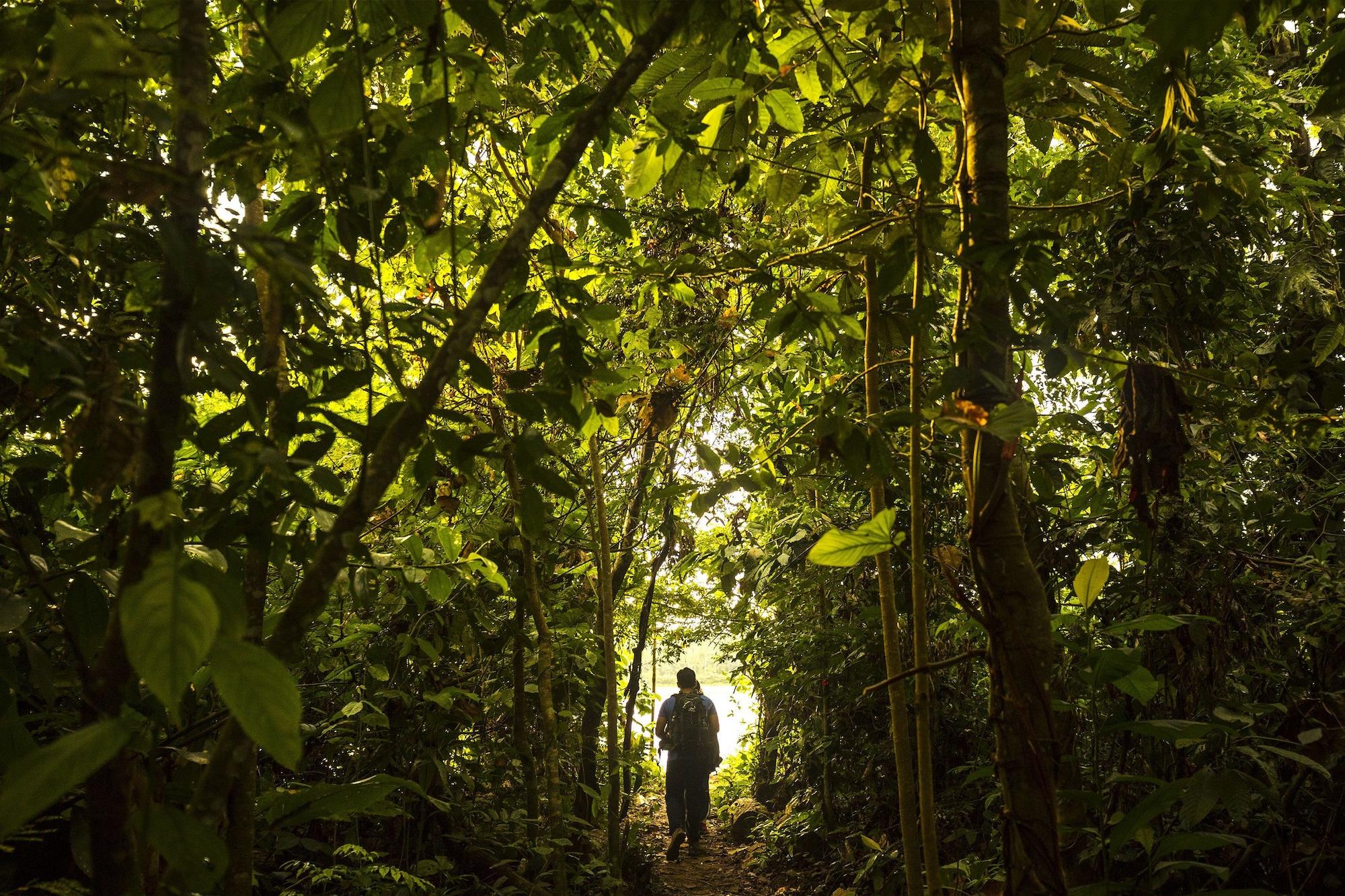 Vista Exterior Tambopata Research Center