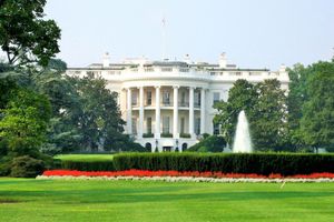 Actividad - Excursión a Washington desde Nueva York