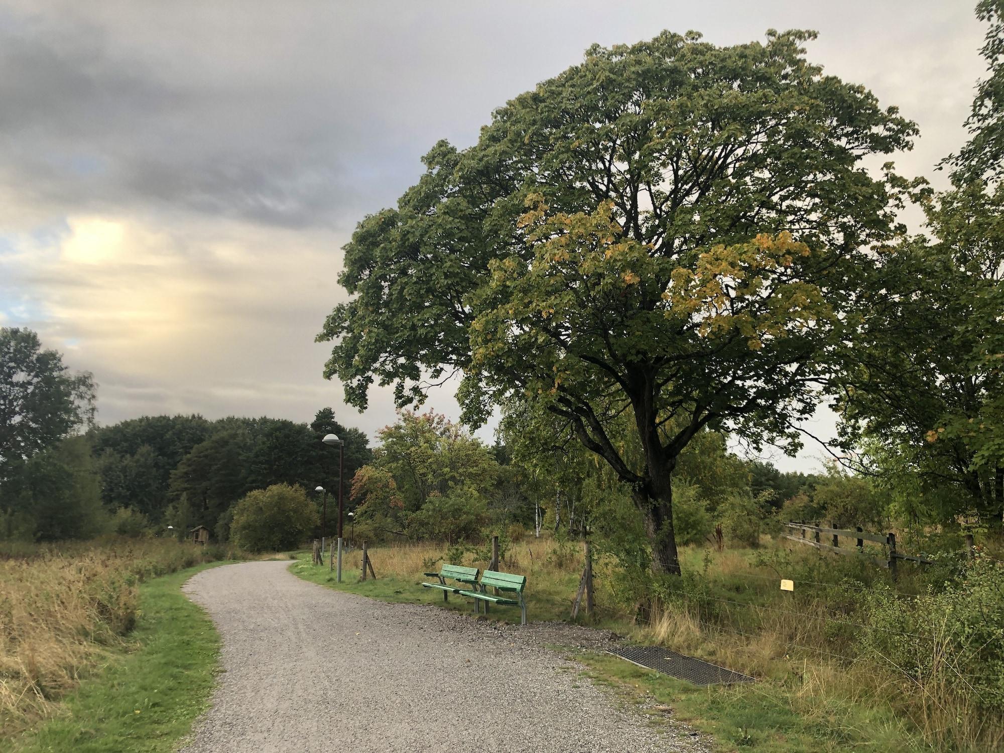 Equipamiento de Habitación Spånga Guesthouse