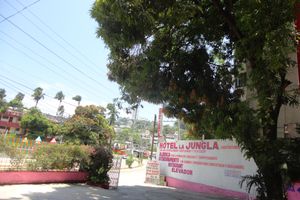 Alojamiento - La Jungla