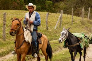 Actividad - Tour por Filandia, Valle del Cócora y Salento en el Quindío (Pereira - Eje Cafetero)
