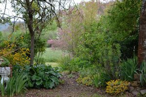 Alojamiento - Jouandassou