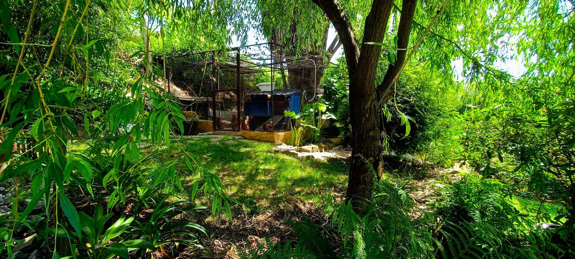 Comodidades del Alojamiento Casa da Benfeitoria