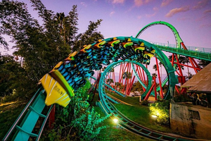 Actividad - Entrada a Busch Gardens Tampa Bay