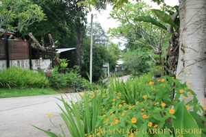 Alojamiento - Pai Vintage Garden Resort