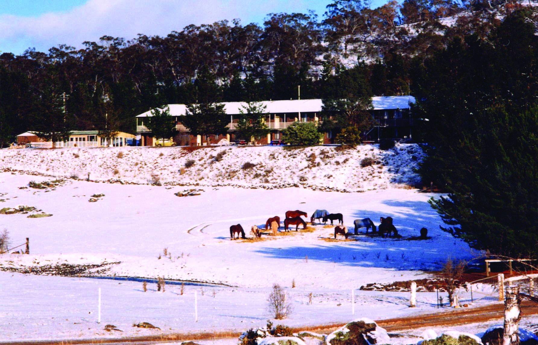 Playa Cooba Holiday Motel