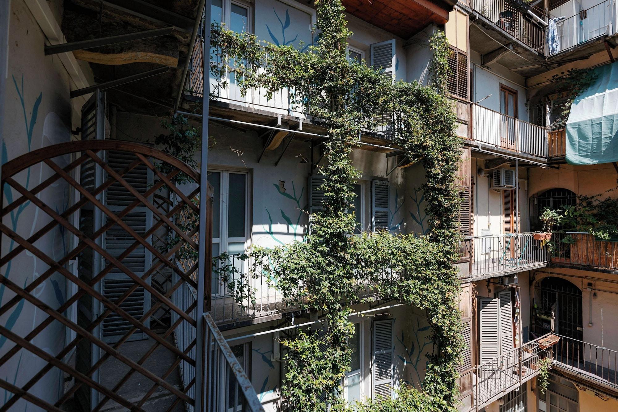 Varios Tomato Urban Retreat