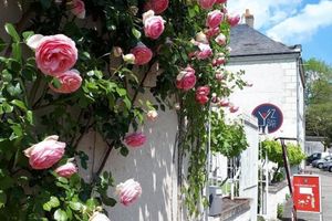 Alojamiento - Logis Hôtel Restaurant Relais de la Mothe