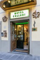 Alojamiento - Hotel Collodi