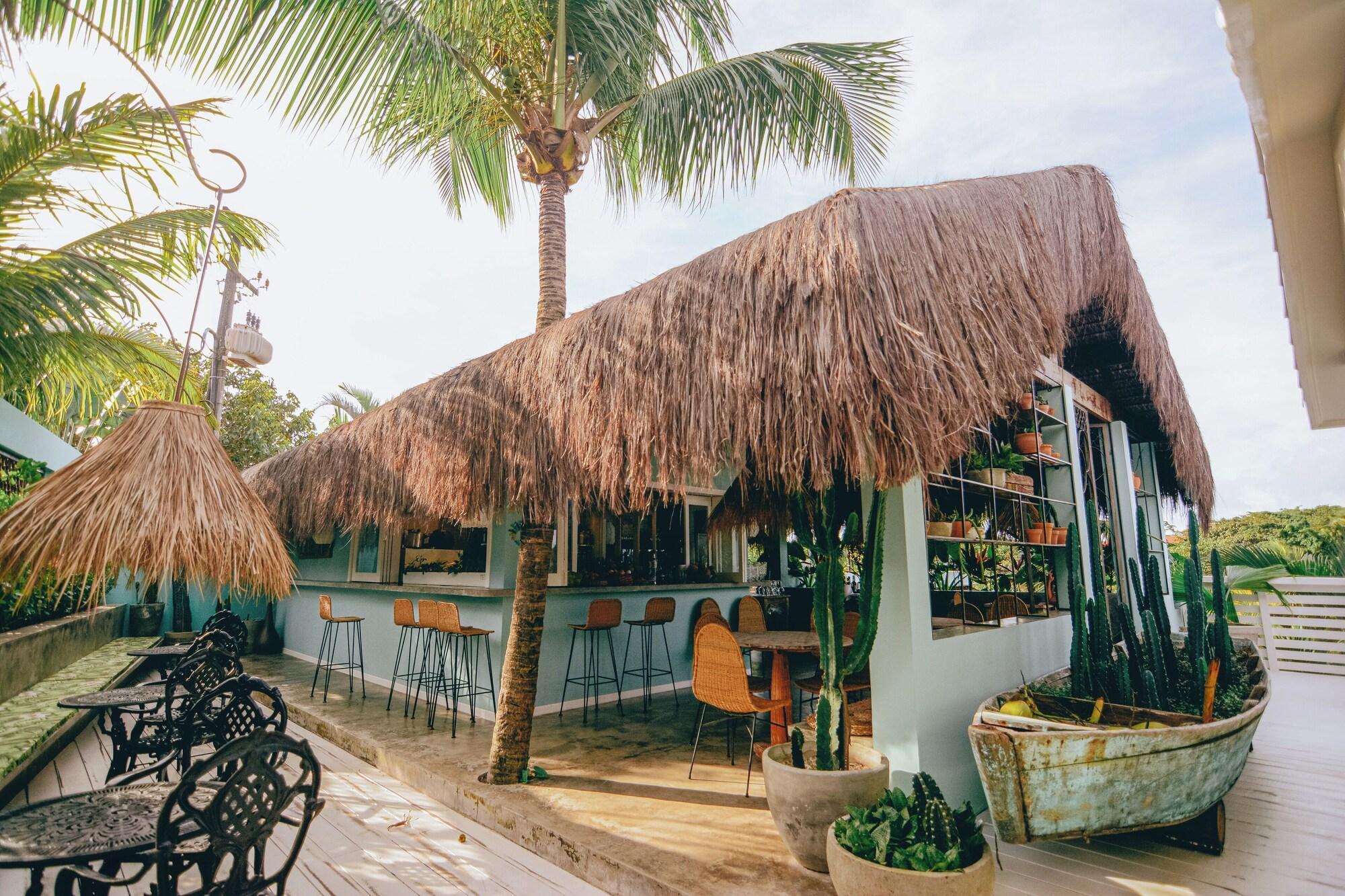 Restaurant Cactus Lodge Pipa