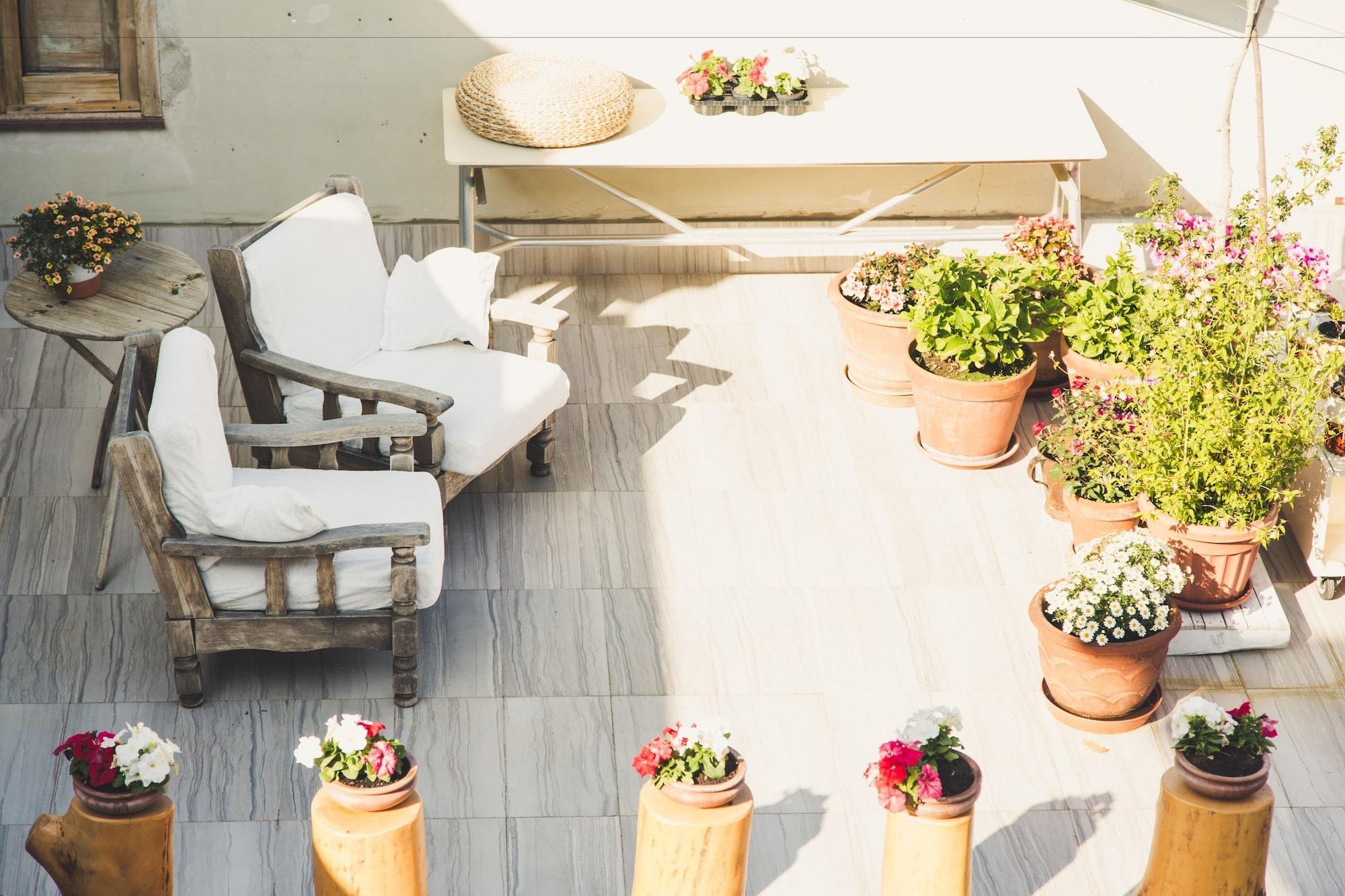 Varios San Lorenzo Si Alberga