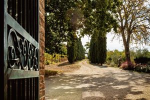 undefined - Villa Le Prata - Residenza del Vescovo