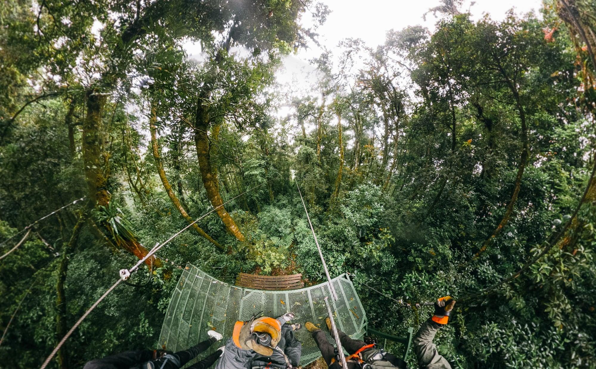 Instalaciones Recreativas Tree Trek Boquete Adventure Park