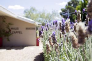 Alojamiento - Haus Holzapfel