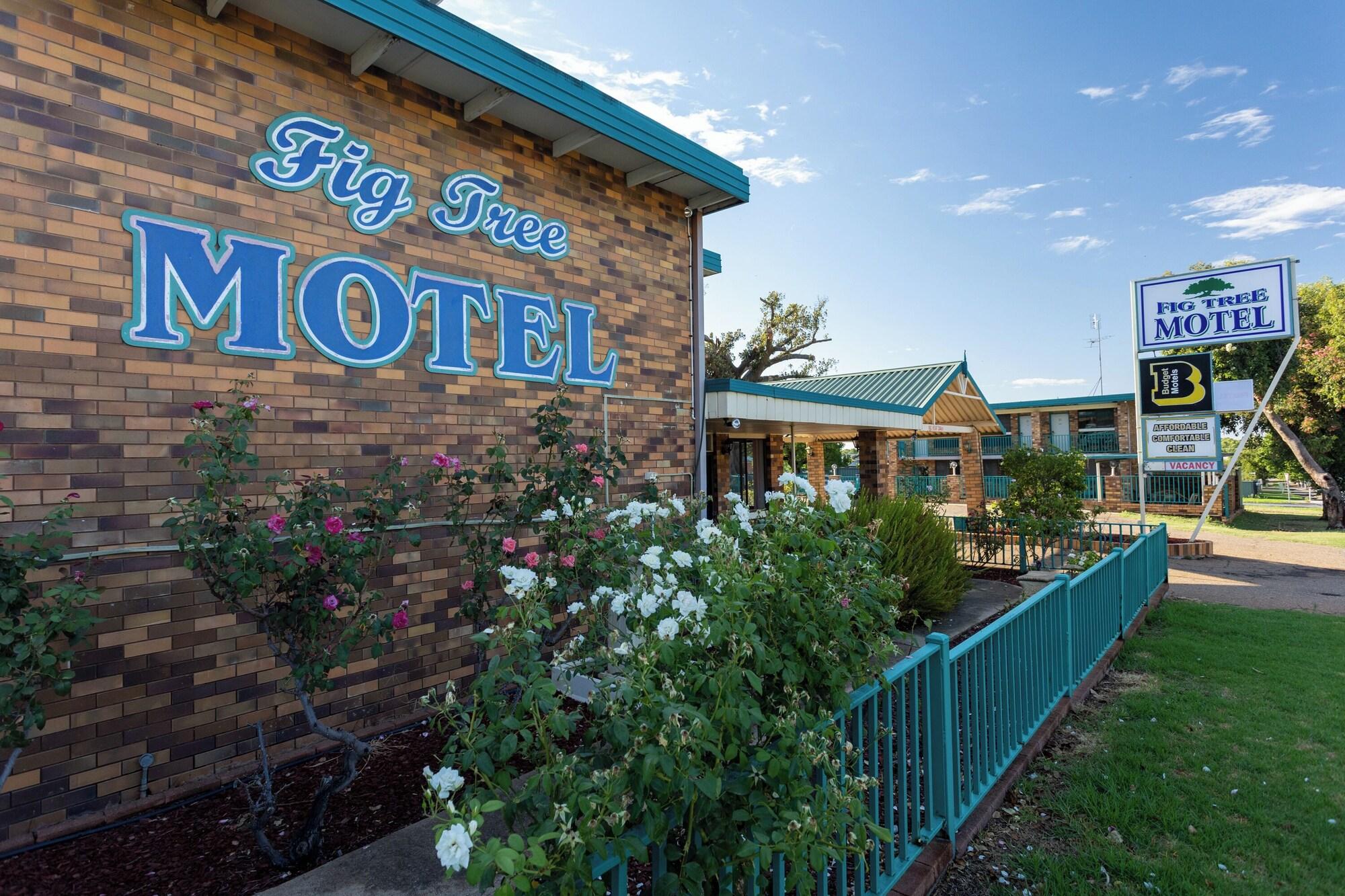 Vista Exterior Fig Tree Motel