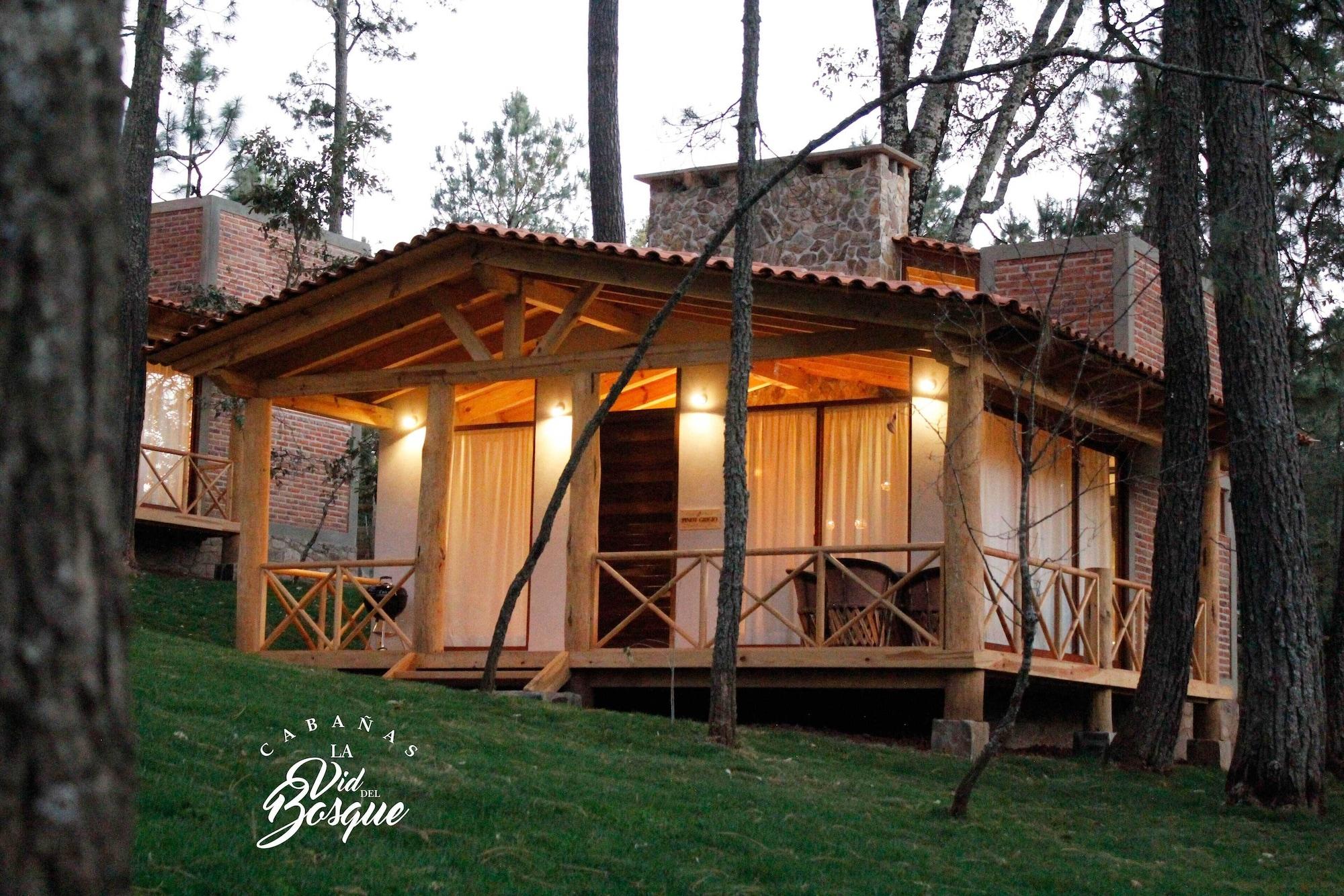 Vista Exterior Cabañas La Vid Del Bosque