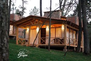 Alojamiento - Cabañas La Vid Del Bosque