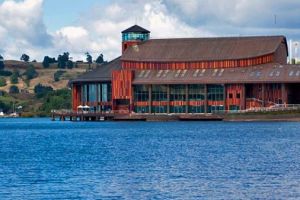 Actividad - Circuito Lago Llanquihue y Cascadas