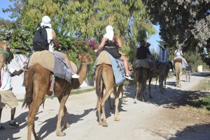 Actividad - Caravane Experience - Hal-Day Tour