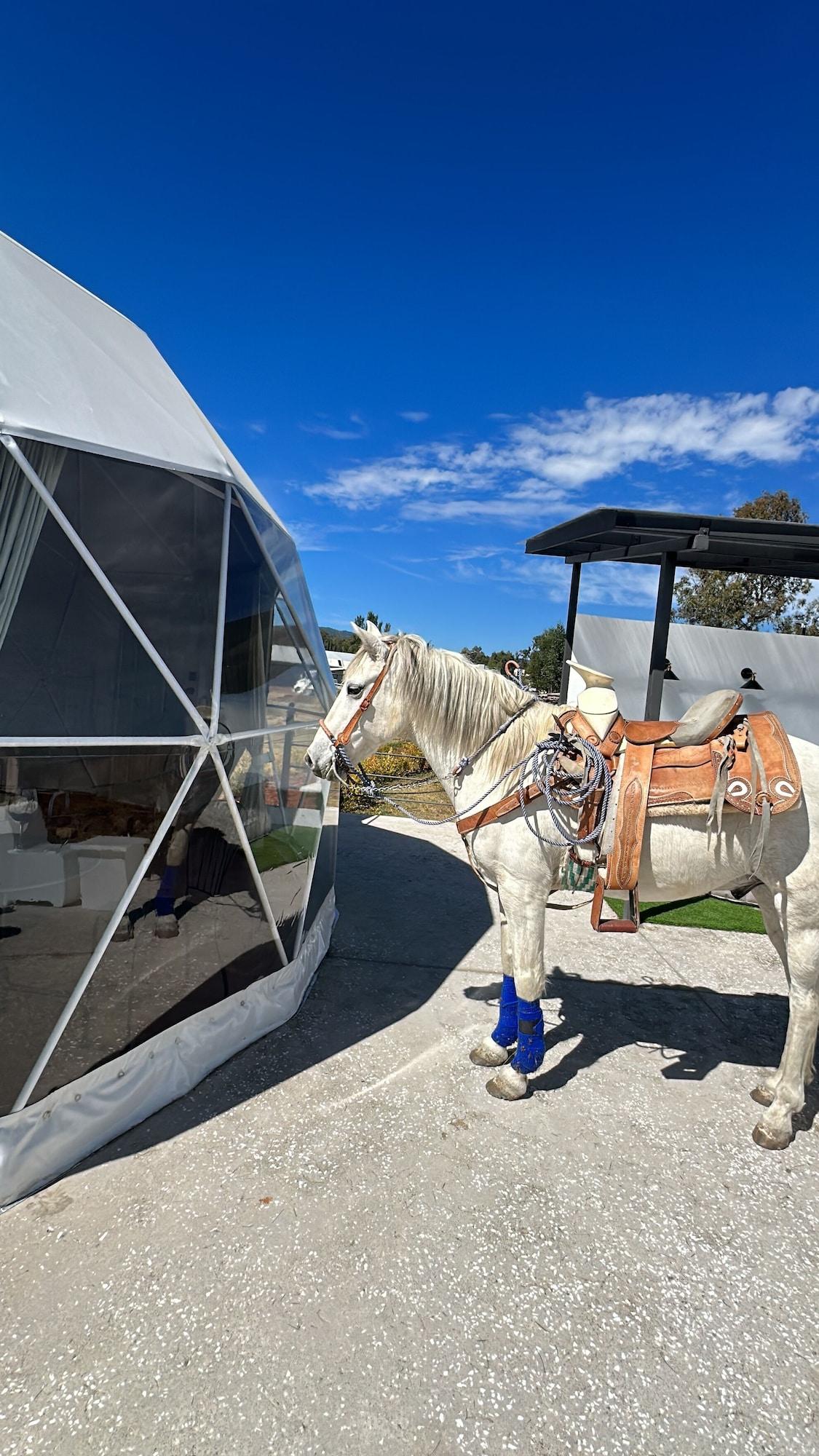 Instalaciones Recreativas ixkapada glamping
