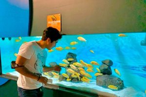 Actividad - Entrada al Acuario Michin Puebla