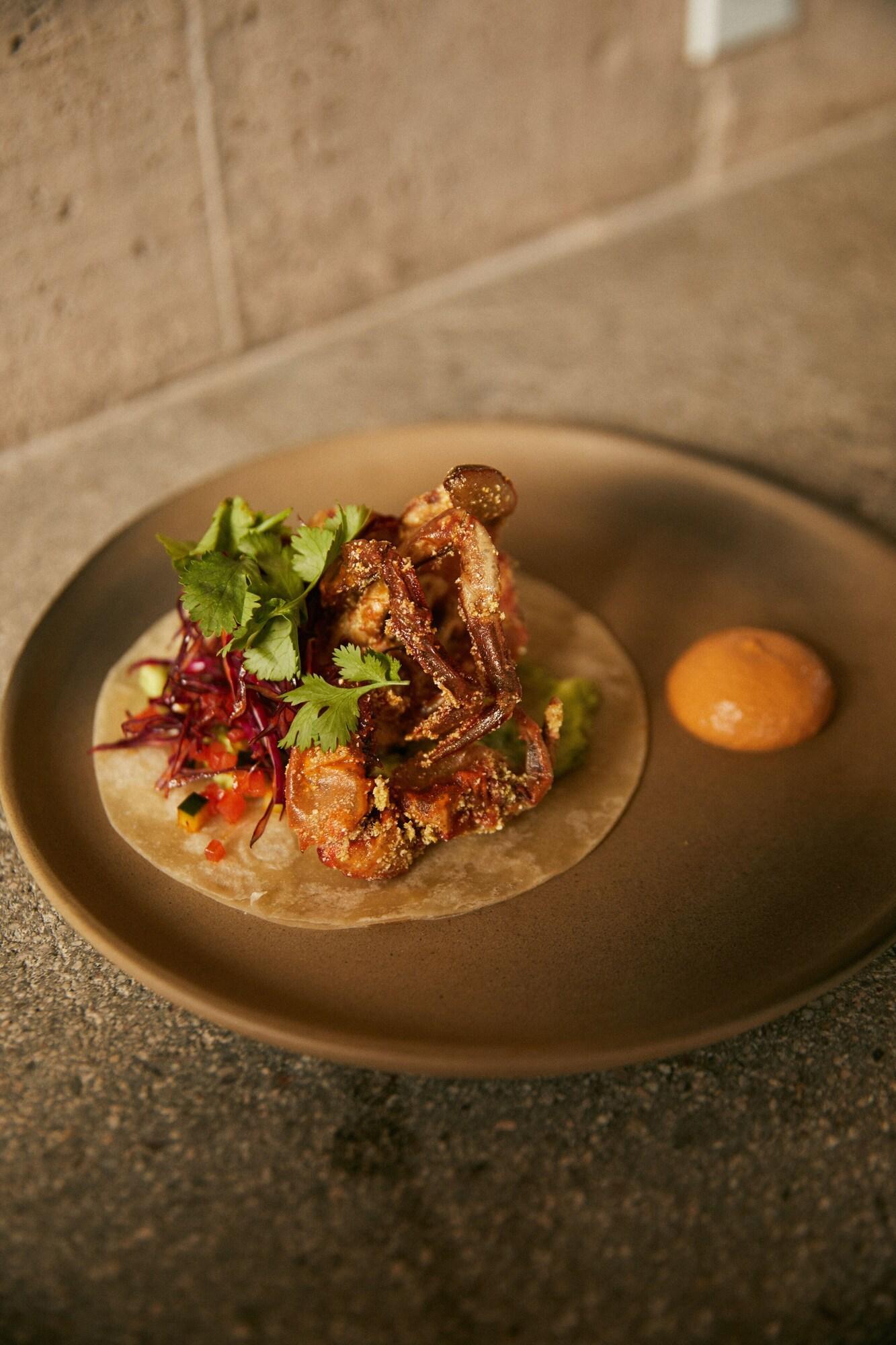 Restaurant Paradero Todos Santos