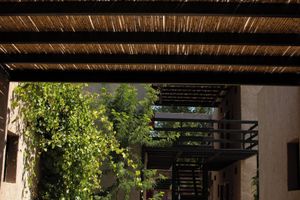 Alojamiento - the owls lodge