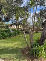 Alojamiento - Hotel Huerta Real