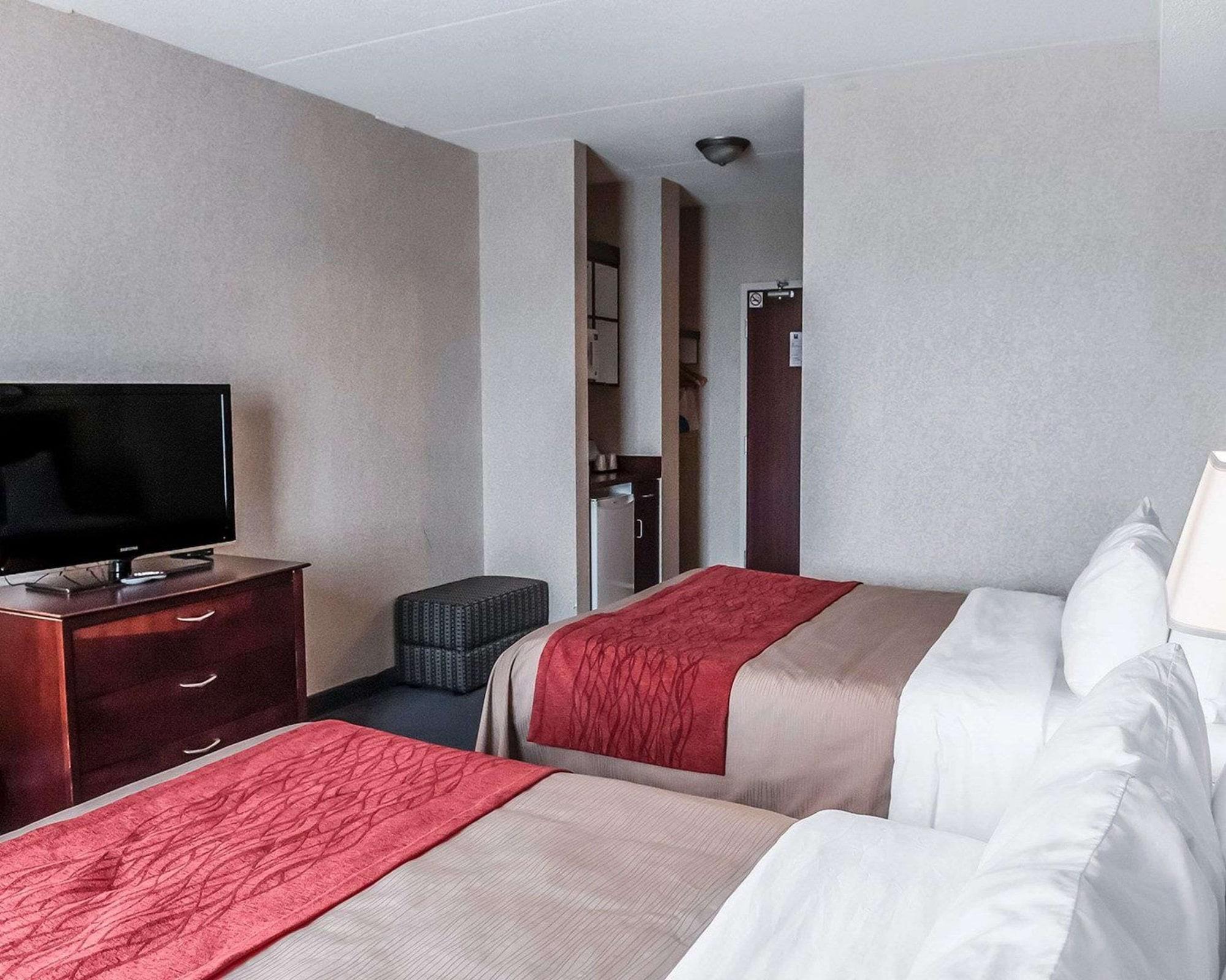 Habitación Comfort Inn Mississauga