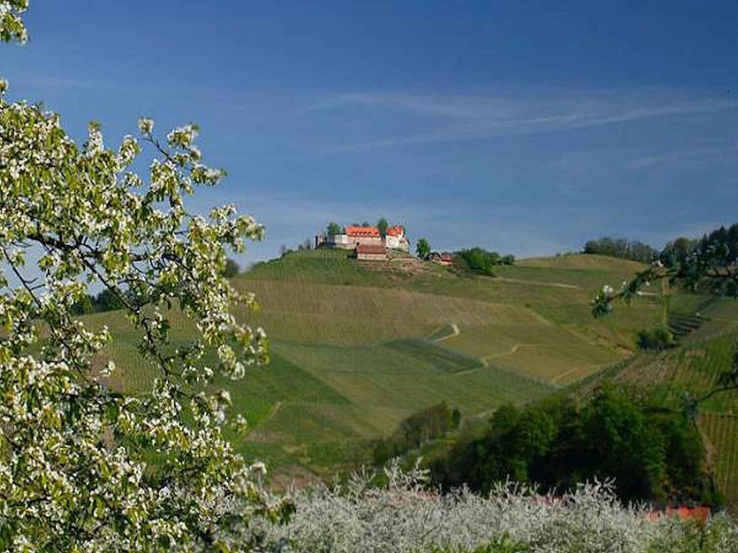 Campo de Golf Gasthaus-Pension Hohberg