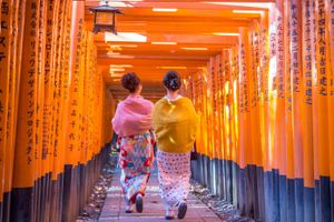 Actividad - Tour castillo de Nijo y Bosque de Bambu sin pases