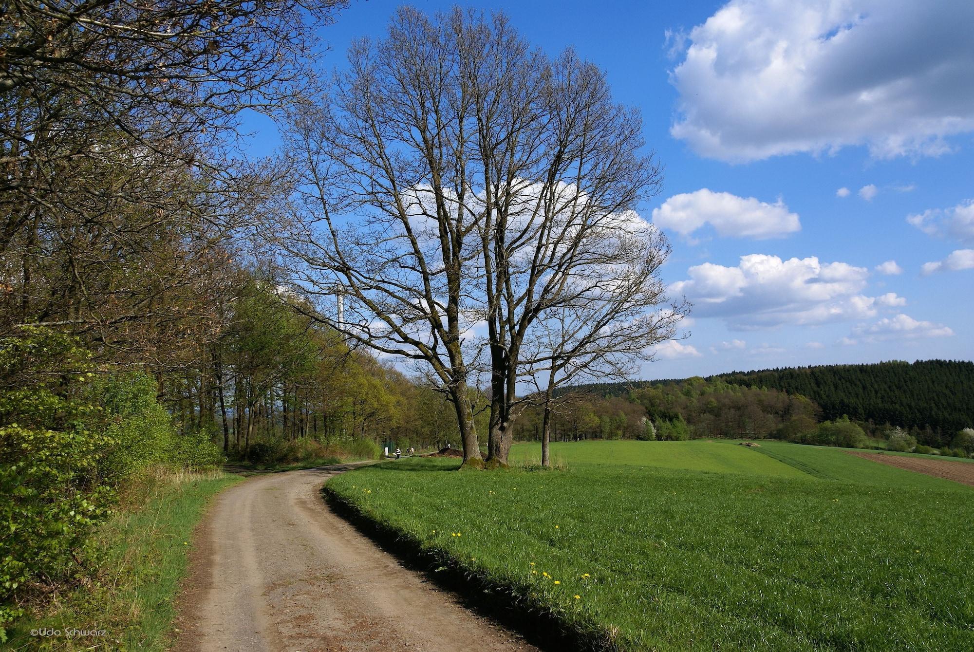 Vista Exterior Gasthof Schumacher - Hotel garni