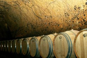 Actividad - Descubra Baalbeck, Anjar y Ksara - Excursión de día completo